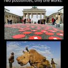Saving Endangered Species