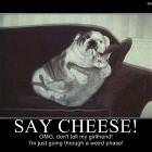 Say Cheese