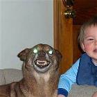 Say Cheese