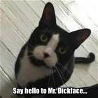 Say Hello