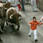 Scared Face Bull Run