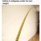 Science Fact