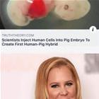 Scientists
