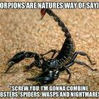 Scorpions