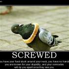 Screwed
