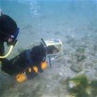 Scuba Dog Diver