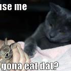 Scuse Me