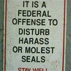 Seal Molestor
