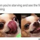 See The Food Coming