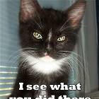 See What You Did