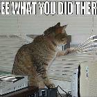 See What You Did
