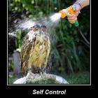 Self Control