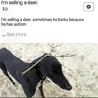 Selling My Deer