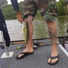 Serious About Fishing