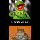 Serious Kermit