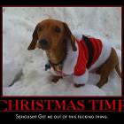 Seriously Xmas