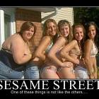 Sesame