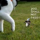 Shall Not Pass