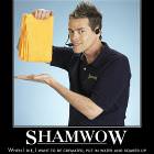 Shamwow