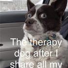 Sharing My Problems
