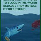 Shark Facts