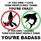 Sharks Vs Cats