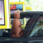 She Be Hungry