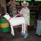 Sheep Costume