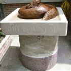 Shit Fountain