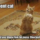 Shocked And Hurt