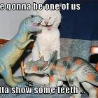 Show Some Teeth