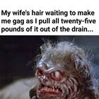 Shower Hair Clog