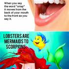 Shower Thoughts