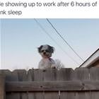 Showing Up To Work