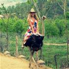 Shut Up And Take My Money