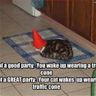 Sign Of A Good Party