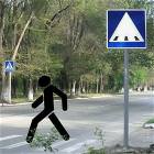 Signs Dont Lie