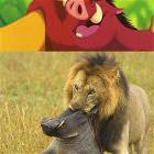 Simba And Pumbaa