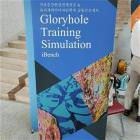 Simulation