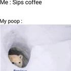 Sips The Coffee