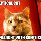 Skeptical Cat
