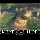 Skeptical Hippo