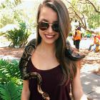 Slithering Snakes 4