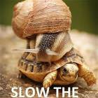 Slow Down