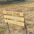 Slow Down You Maniacs