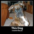 Smart Dog