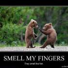 Smell My Fingers
