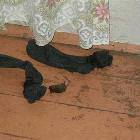 Smelly Socks