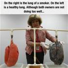Smokers Lungs