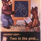 Smokey Says